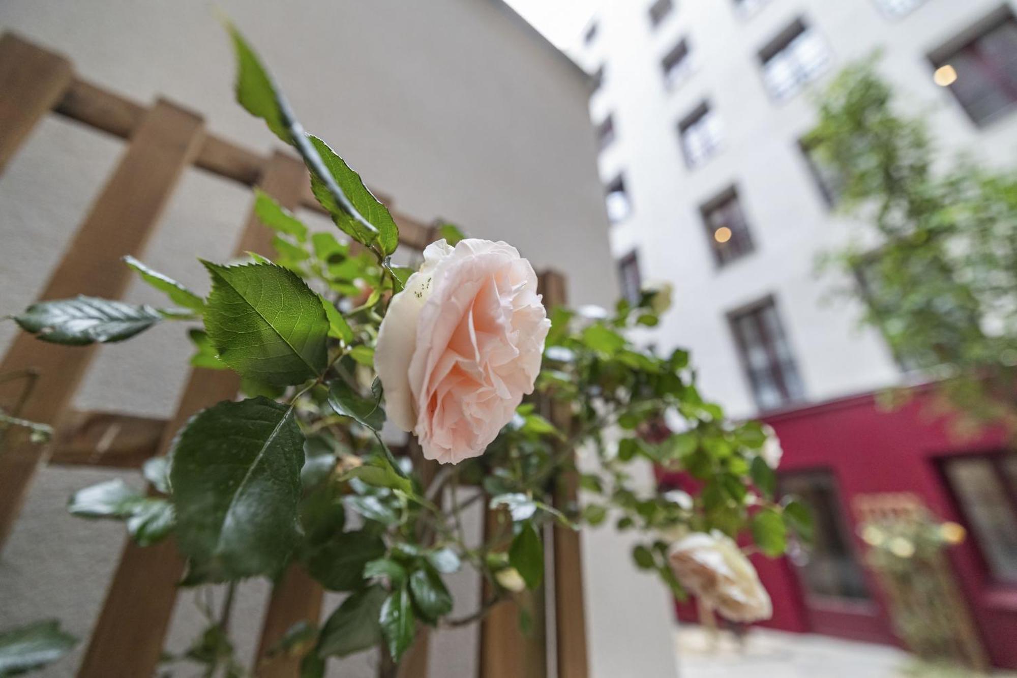 Ferienwohnung Out Of Africa Paris Exterior foto